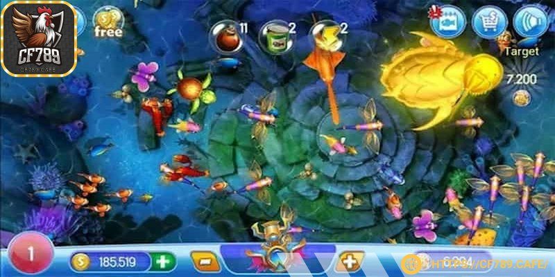 Không khí cạnh tranh sôi động của ngư thủ