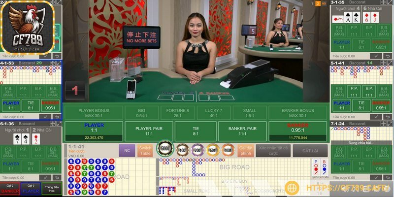 Casino chơi với dealer thật nâng cấp trải nghiệm