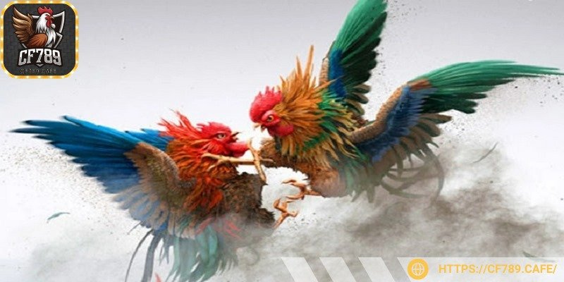 Tỷ lệ trả thưởng cao, nhanh chóng và tiện lợi