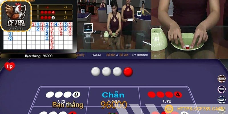 Nhận thưởng tương ứng nếu đoán chuẩn xác