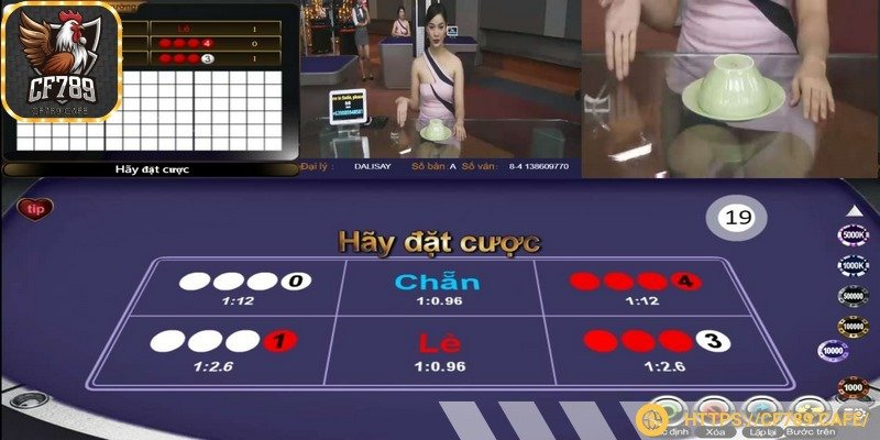 Xóc đĩa siêu phẩm quốc dân không thể thiếu khi cá cược